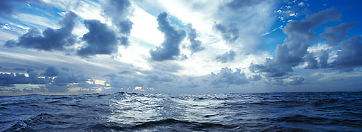 Michael Berman Photography